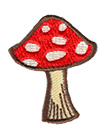 Mini Magic Mushroom Patch | Hippie