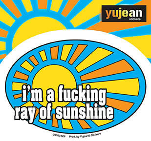 Ray of Sunshine Sticker | LOL!!!