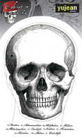 Cabinet of Curiosities Skull Face Sticker