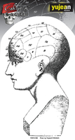 Cabinet of Curiosities Phrenology Head Sticker